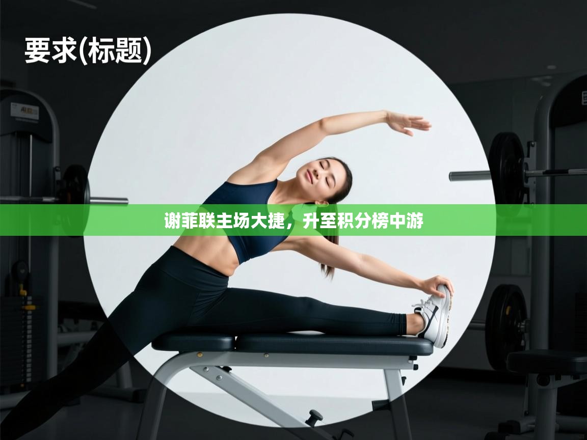 谢菲联主场大捷,升至积分榜中游 第1张