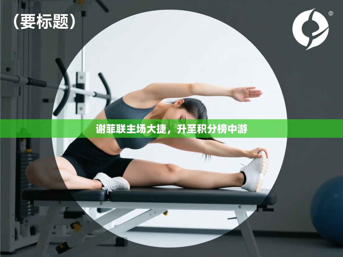 谢菲联主场大捷,升至积分榜中游 第2张